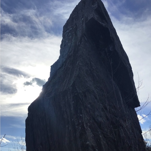 Meet your Posher, Levi - Picture 1 of 1